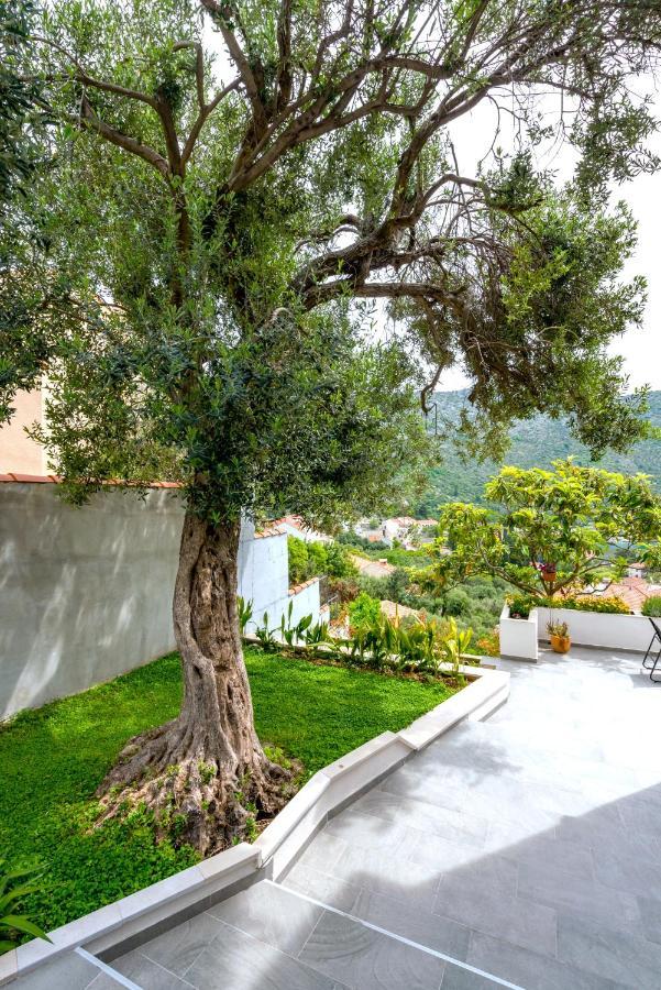 Villa Mardia- Sea View Infinity Pool Built 2023 ザトン エクステリア 写真